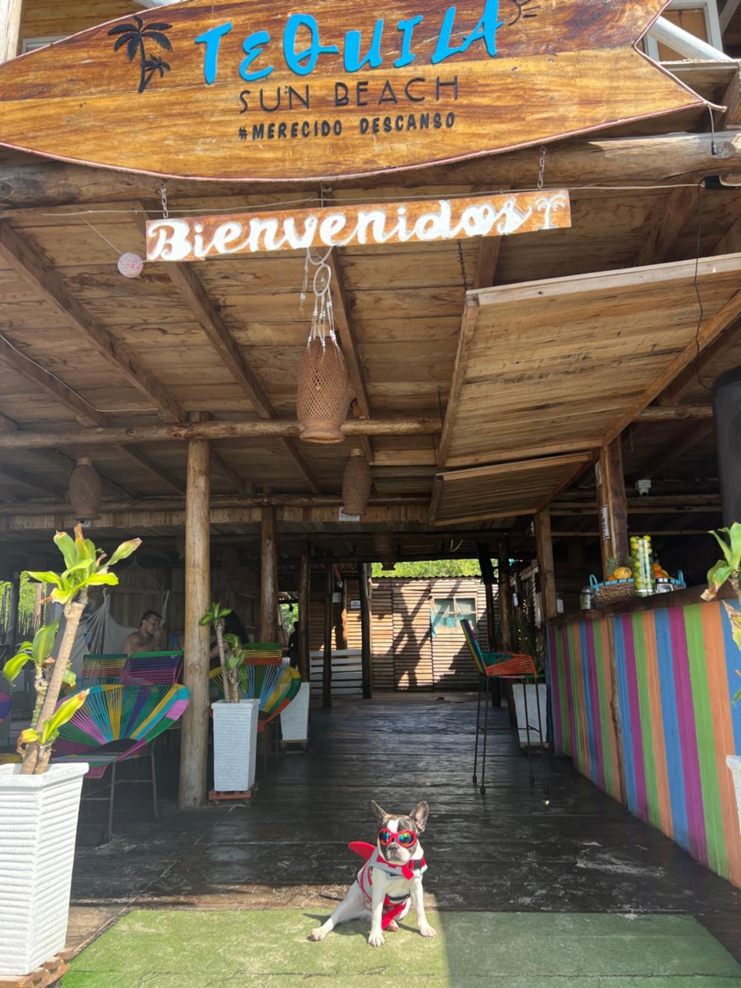 Tequila Sunbeach Baru Eco-Hotel Pendales Eksteriør billede